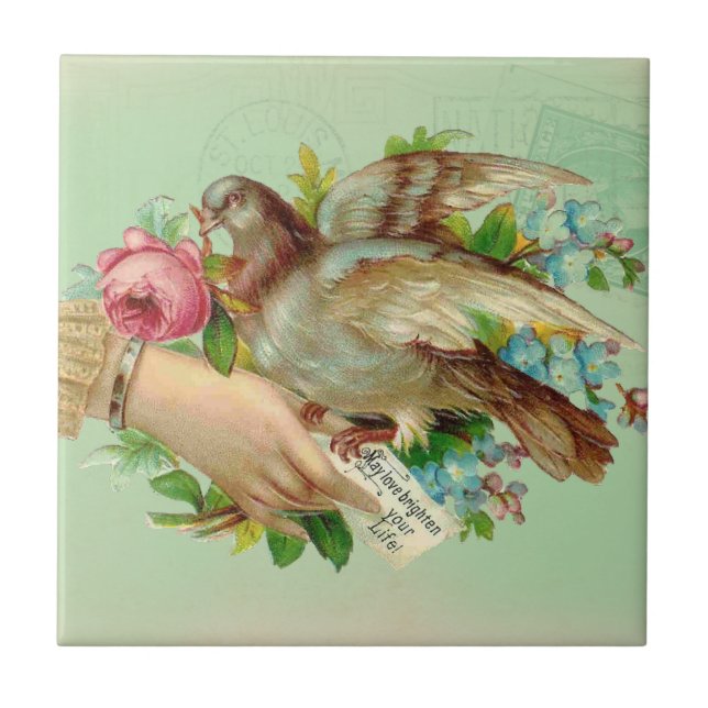 Azulejo Pájaro de la tarjeta del día de San Valentín del (Frente)