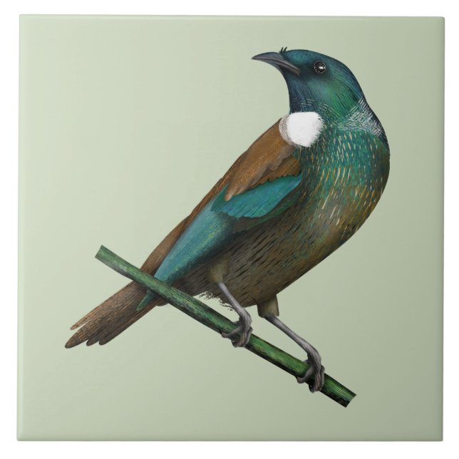 Azulejo Pájaro de Nueva Zelanda (Frente)