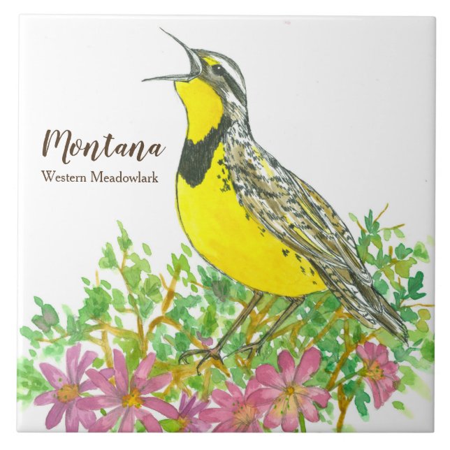 Azulejo Pájaro del estado de Montana Meadowlark Songbird (Frente)