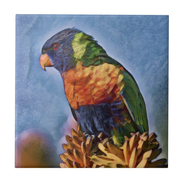 Azulejo Pájaro lorikeet parrot (Frente)