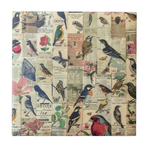 Azulejo Pájaro Mariposa Periódico Botánico Vintage