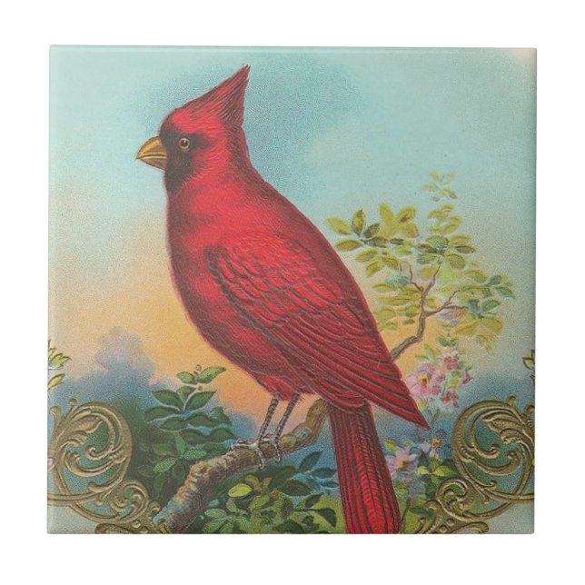 Azulejo Pájaro rojo (Frente)