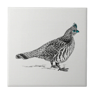 Azulejo Pájaro salvaje dibujado en línea blanca y negra