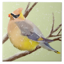 Azulejo Pájaro, Waxwing de cedro, mosaico de cocina cerámi