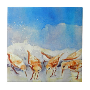 Azulejo Pájaros acuáticos