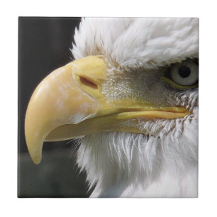 AZULEJO PÁJAROS DE EAGLE