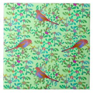 Azulejo Pájaros desayunando en una niebla de mañana primav