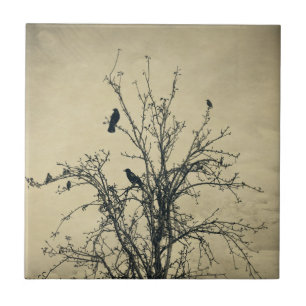 Azulejo Pájaros en el árbol   -   