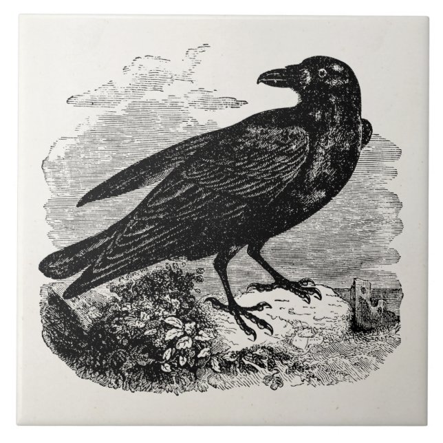 Azulejo Pájaros personalizados cuervo del pájaro del negro (Frente)