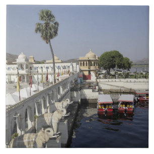 Azulejo Palacio Jag Mindar, Lago Pichola, Udaipur, India.