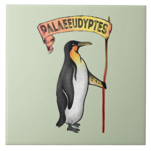 Azulejo Palaeeudyptes Extinct Penguin