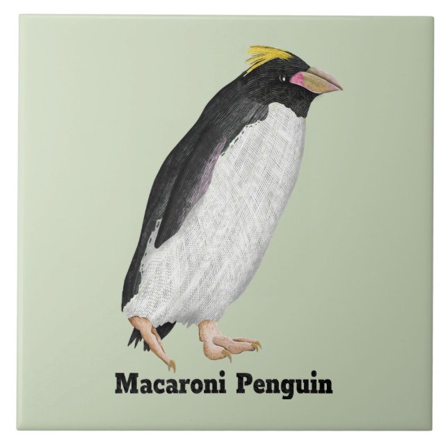 Azulejo Palaeeudyptes Extinct Penguin (Frente)