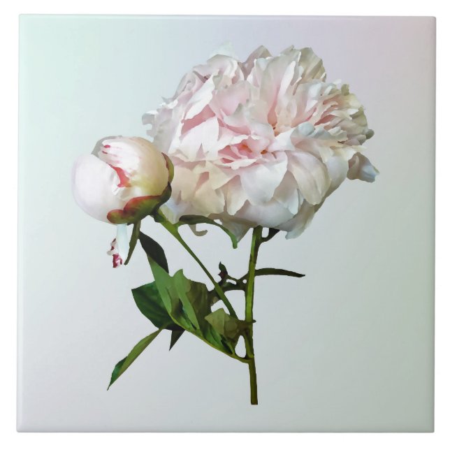Azulejo Pale Pink Peony and Bud (Frente)