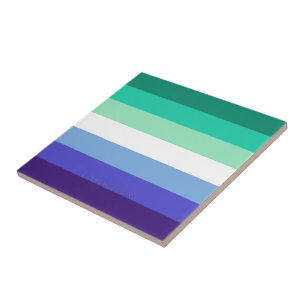Azulejo Paleta de la bandera de hombres gays trans-inclusi
