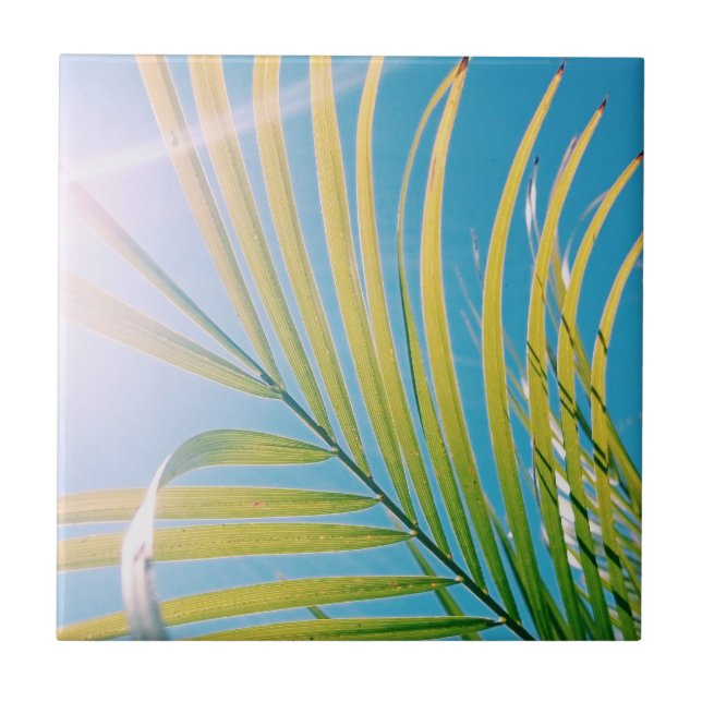 Azulejo Palm Tree de vibraciones positivas Sunny (Frente)