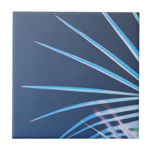 Azulejo Palm Tree Deja Esbozo Minimalismo