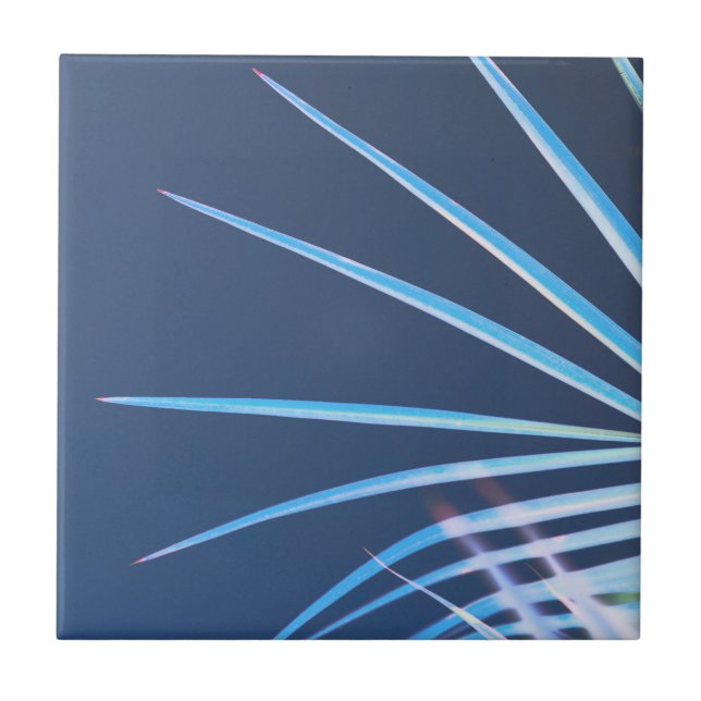 Azulejo Palm Tree Deja Esbozo Minimalismo (Frente)