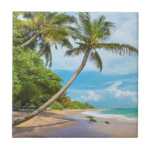 Azulejo Palma de coco, playa el   Sri Lanka de Mirissa