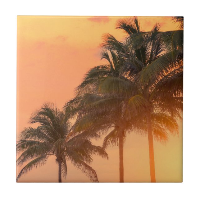 Azulejo Palmas de Miami (Frente)