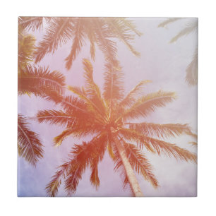 Azulejo Palmera del coco con luz del sol