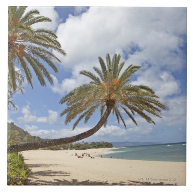 Azulejo Palmera que se inclina hacia fuera sobre la arena (Frente)