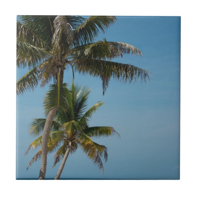 Azulejo Palmera y playa de arena blanca (Frente)