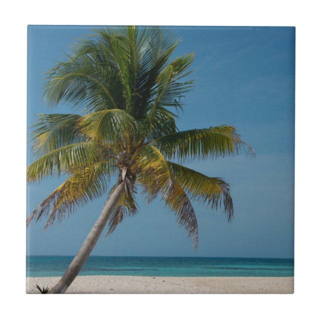 Azulejo Palmera y playa de arena blanca  2 (Frente)