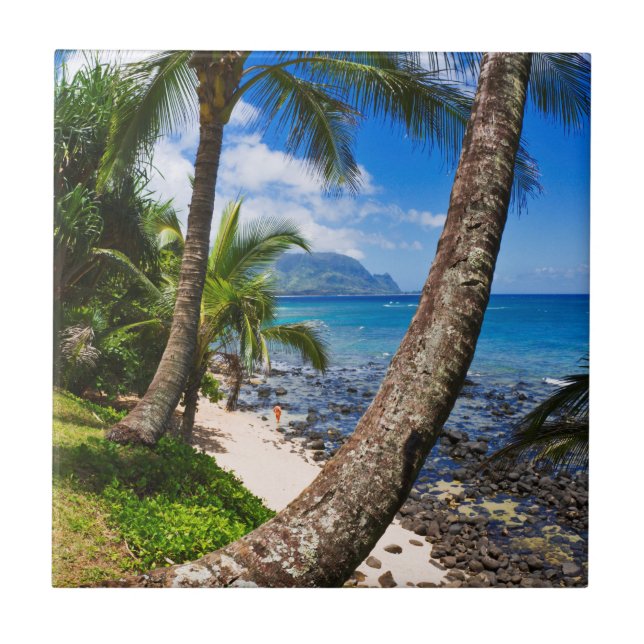 Azulejo Palmeras a lo largo de la playa de Hideaways (Frente)