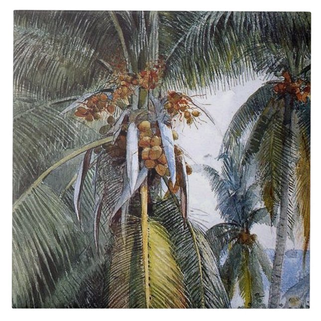 Azulejo Palmeras de coco, Key West, Florida, (Frente)