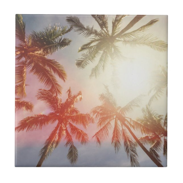 Azulejo Palmeras del coco contra el Sun (Frente)