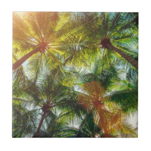 Azulejo Palmeras del coco en la playa