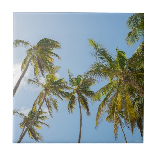 Azulejo Palmeras Tropicales, Estilo Playa y Vacaciones (Frente)