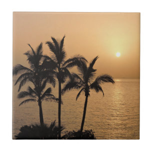 Azulejo Palmeras y atardecer romántico