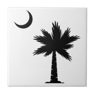 Azulejo Palmetto Moon