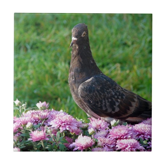 Azulejo Paloma y Mamáes (Frente)