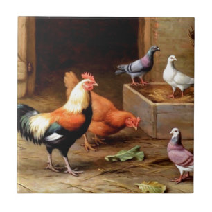 Azulejo Palomas de la gallina del gallo