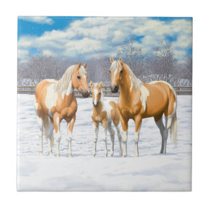 Azulejo Palomino Pinto Paint Quarter Horarios En Nieve