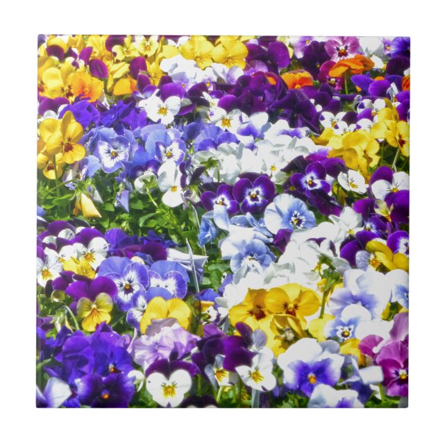 Azulejo Pansies (Frente)