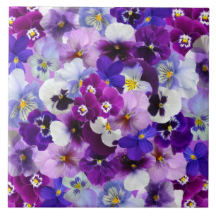 Azulejo Pansies Gloriosos