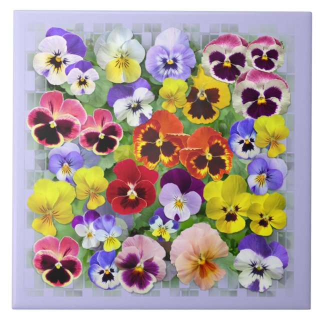 Azulejo Pansy Beauty (Frente)