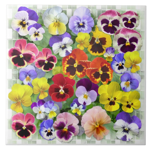 Azulejo Pansy Beauty (Frente)
