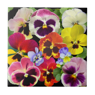 Azulejo Pansy Patchwork