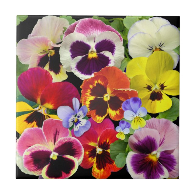 Azulejo Pansy Patchwork (Frente)
