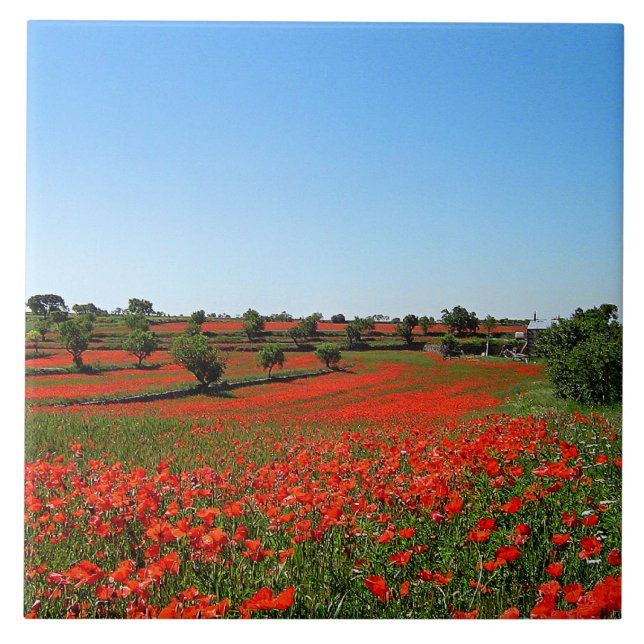 Azulejo Papas en flor (Frente)