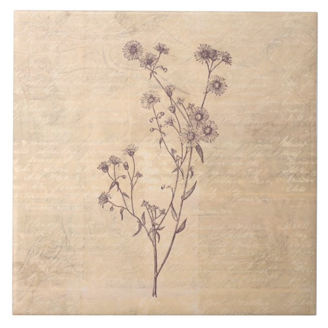 Azulejo Papel de escritura de flores silvestres (Frente)