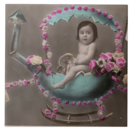 Azulejo Paquetes Joyeuse