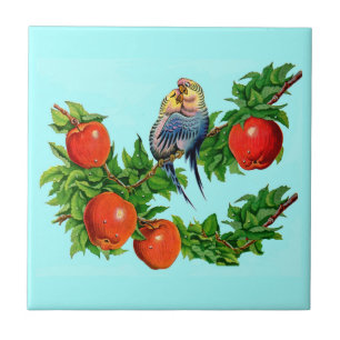 Azulejo paracaídas enamorados