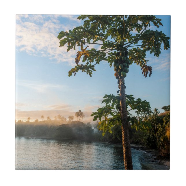 Azulejo Paraíso Tropical al Atardecer, Fiji (Frente)
