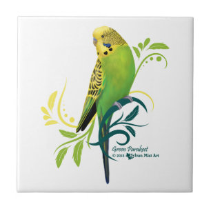 Azulejo Parakeet verde