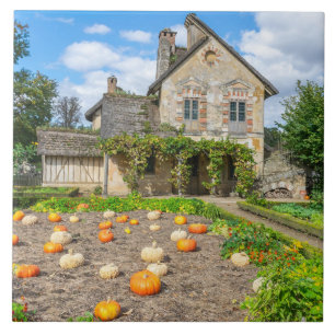 Azulejo Parche de calabaza y cerámica de la construcción d